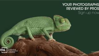 Get Constructive Feedback on Your Work for Only $10/Image! 