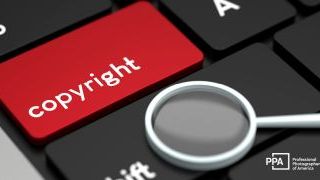 Protect Your Photography: Participate in Our Crucial Copyright Survey