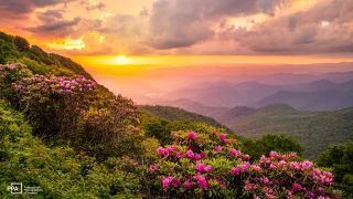 April Recommended Reads: Photography Quotes, Landscape Lessons, AI Trends and More