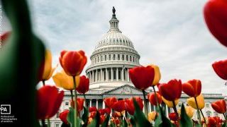 US Copyright Office Clarifies Registration Process for AI-Generated Photography