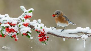 December Recommended Reads: Fitness Photography, Crazy Photo Facts, and More!