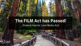 A Win for Creators: The FILM Act is Signed into Law