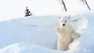 January Recommended Reads: Bauhaus, Forest Photography, and More!
