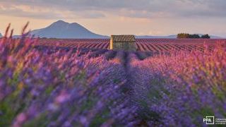 Prioritizing Peace: Ways for a Busy Photographer to Stay Grounded