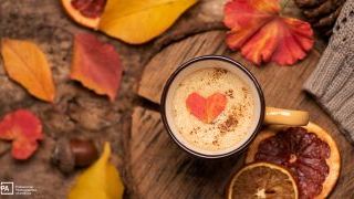 November Recommended Reading: Nature Photos, Newborn Photography, and more!