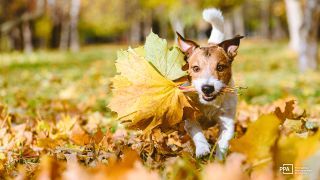 November Recommended Reads: Location Scouting, Winter Photography, and more!