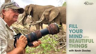 Expand Your Creative World Through Travel and Photography with PhotoVision Instructor, Kevin Dooley