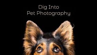 PPA’s Pet Photography Curriculum: A Path to Mastering the Craft
