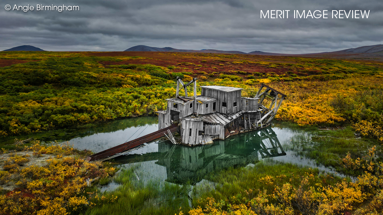 Merit Image Review 2026