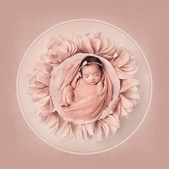 Newborn Photography