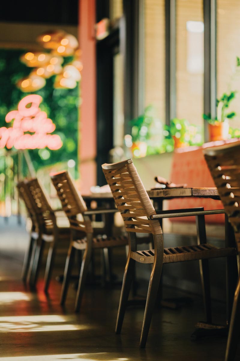 empty seats facing a line of windows in a restaurant with plants on the windowsill and gentle sun shining in