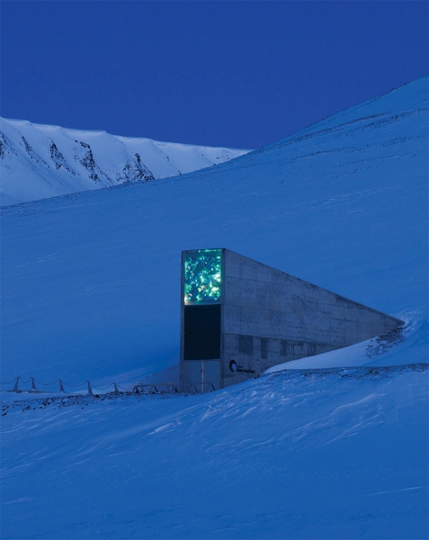 Outside the vault at night