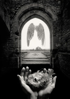 His story is untitled, fine art photographer Jerry Uelsmann