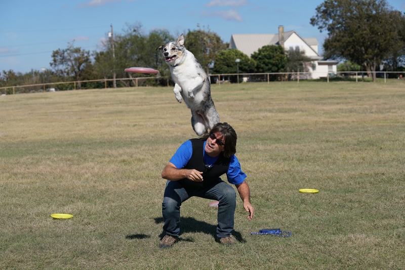 The Hybrid Phase Detection AF system had no trouble following dogs as they leapt for a catch. Sony a99 II—Exposure: 1/2,000 second at f/5.0, ISO 250