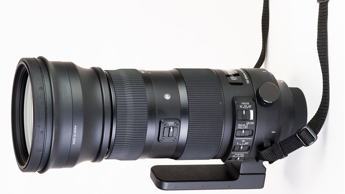 Sigma 150-600mm Sport Lens Review for Photographers | Professional