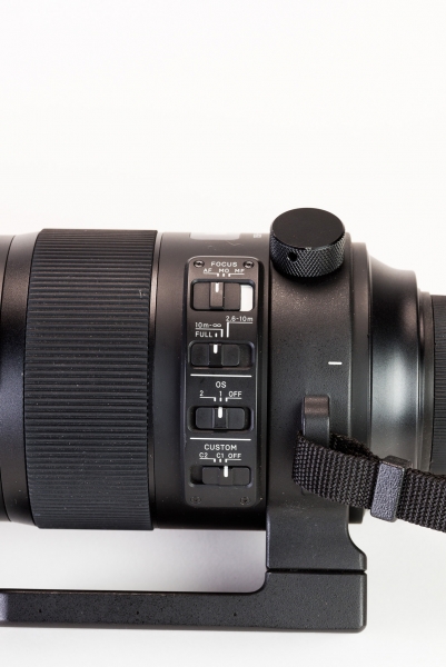 Sigma 150-600mm Sport Lens Review for Photographers | Professional