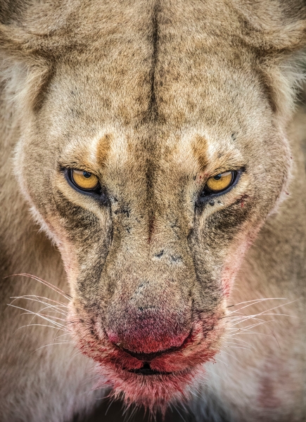 Ian Plant Blazes His Own Trail in Nature and Landscape Photography, Ian Plant, nature and landscape photographer
