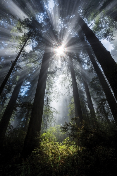 Ian Plant Blazes His Own Trail in Nature and Landscape Photography, Ian Plant, nature and landscape photographer