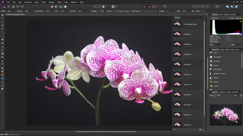 Affinity Photo includes the ability to perform focus stacking.