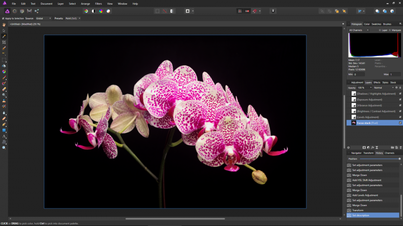 The interface is familiar to Photoshop users. The layers and history subpanels track your every adjustment.