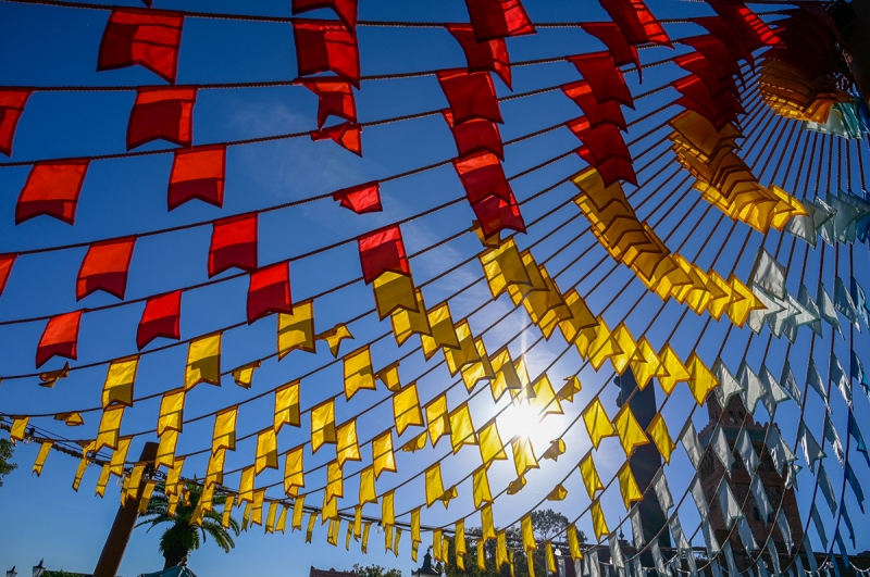 Color accuracy, dynamic range, and exposure are excellent, even with quick grab shots such as this and processed in Nikon Capture NX-D software.