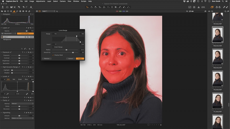 By adjusting the sliders in the Luma Range dialog box, you confine the mask to the area of interest. 