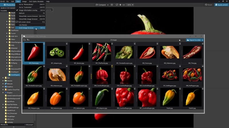 The PhotoLab 2 image browser opens the current image folder in a separate window that you can drag to a second monitor or dock on a single monitor. 