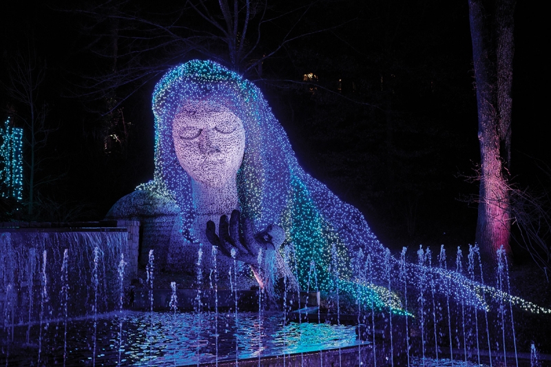 The Nikon Z 7 performs wonderfully in a variety of environments such as this nighttime setting at the Atlanta Botanical Garden. It was taken handheld using the Nikkor Z 24-70mm f/4S lens at 70mm with an exposure of 1/160 second at f/4, ISO 2000. 