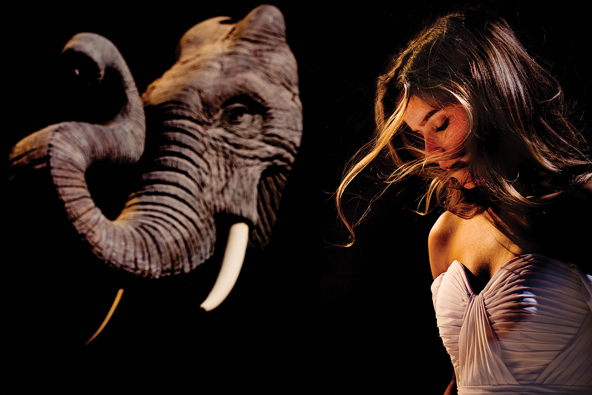 Portrait of a bride and an elephant 