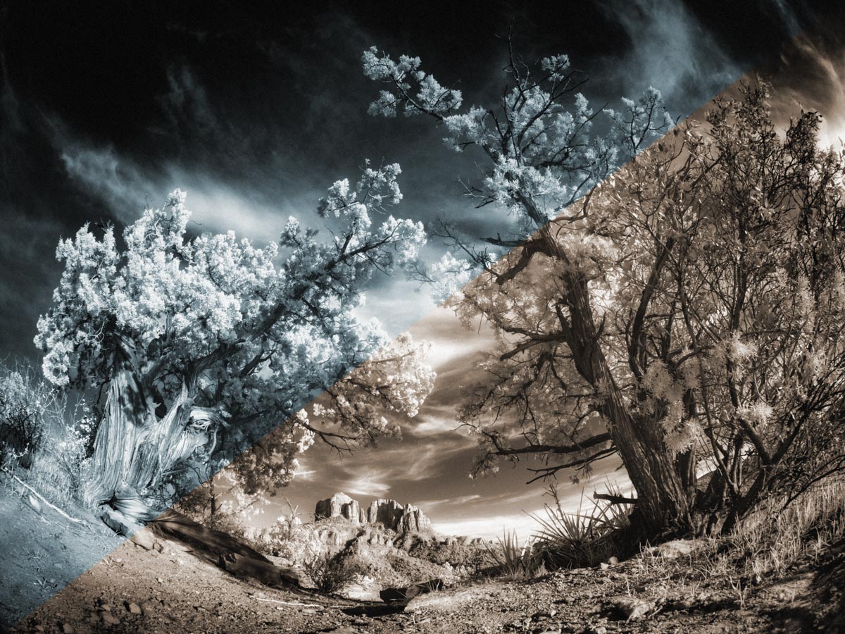 an infrared photo of a outdoor scene in the Southwest