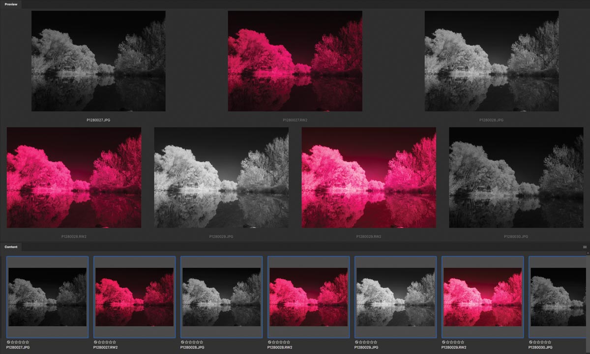 an Adobe Bridge preview of infrared images by photographer Bob Coates