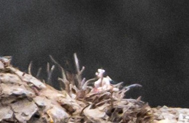 10.22-cropped-10-PF_.jpg