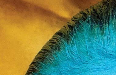 11-22-PF-Fragment.jpg