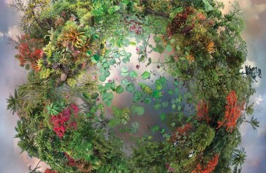 122020-Tropic.jpg