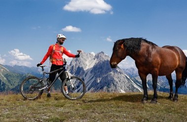 20170120_vr360_horse_web.jpg