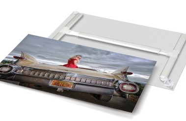 201702-bayphoto_xpozer_01_anniekrowland-header.jpg
