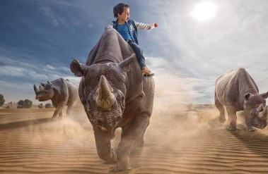 201702-fg-rhino-newheader.jpg