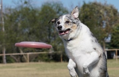 201702_sony_grid_DSC03738.jpg