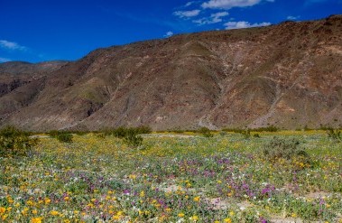 201706_sirui_header_new.jpg