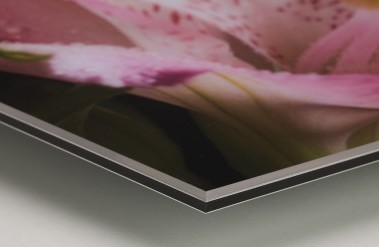 201707_ultrahd_ww_xsection_acrylicultrahdheader.jpg