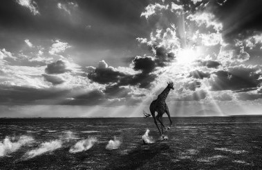 201708-image-122---heaven-can-wait_header.jpg