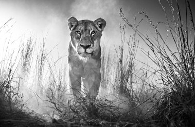 201708-image-159---gladiator_new-header.jpg