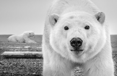 201708-image-38---hello.jpg