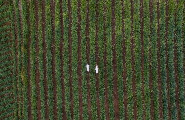 20171-fgloveabove-helenehavarddrone-header-.jpg