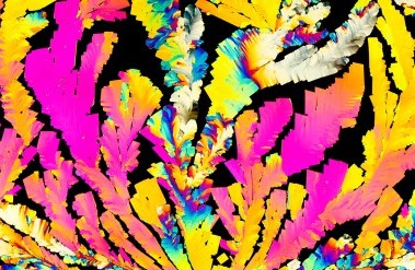 2018-11-header_mdma-1.jpg