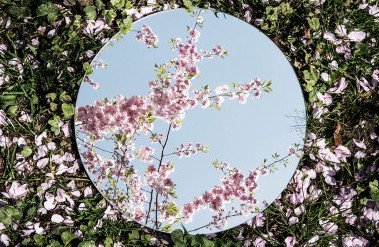 2018-12-header_03_ph_project_reflections_o5b1817.jpg