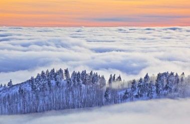 201801_guytal_de001589_header.jpg