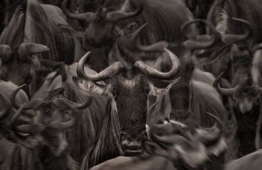 201810-header_20170914-tanzania-ken-kaminesky-f-03675.jpg