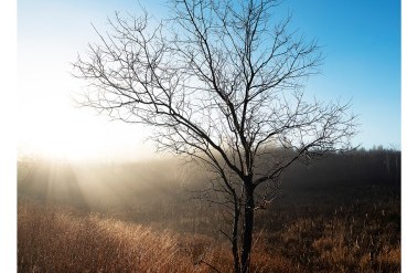 201811_FujifilmGFX50R_DonChick_1196_Figure_4.jpg
