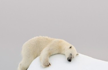 20183-svalbard-1928-edit.jpg